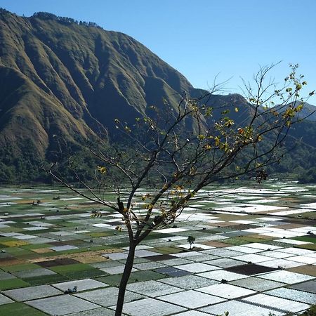סמבלון לוואנג Rinjani Green Park Syariah Hotel מראה חיצוני תמונה