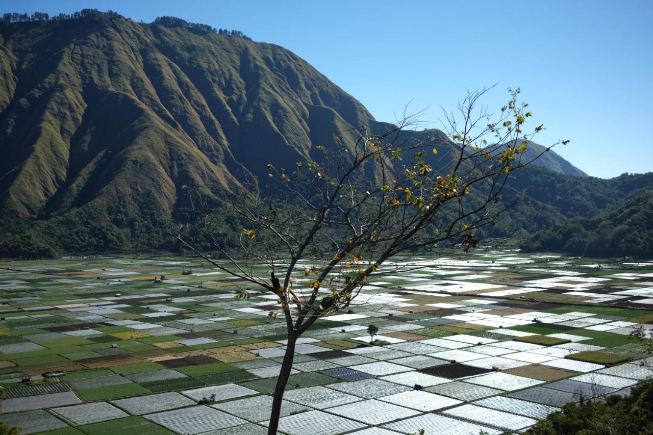 סמבלון לוואנג Rinjani Green Park Syariah Hotel מראה חיצוני תמונה